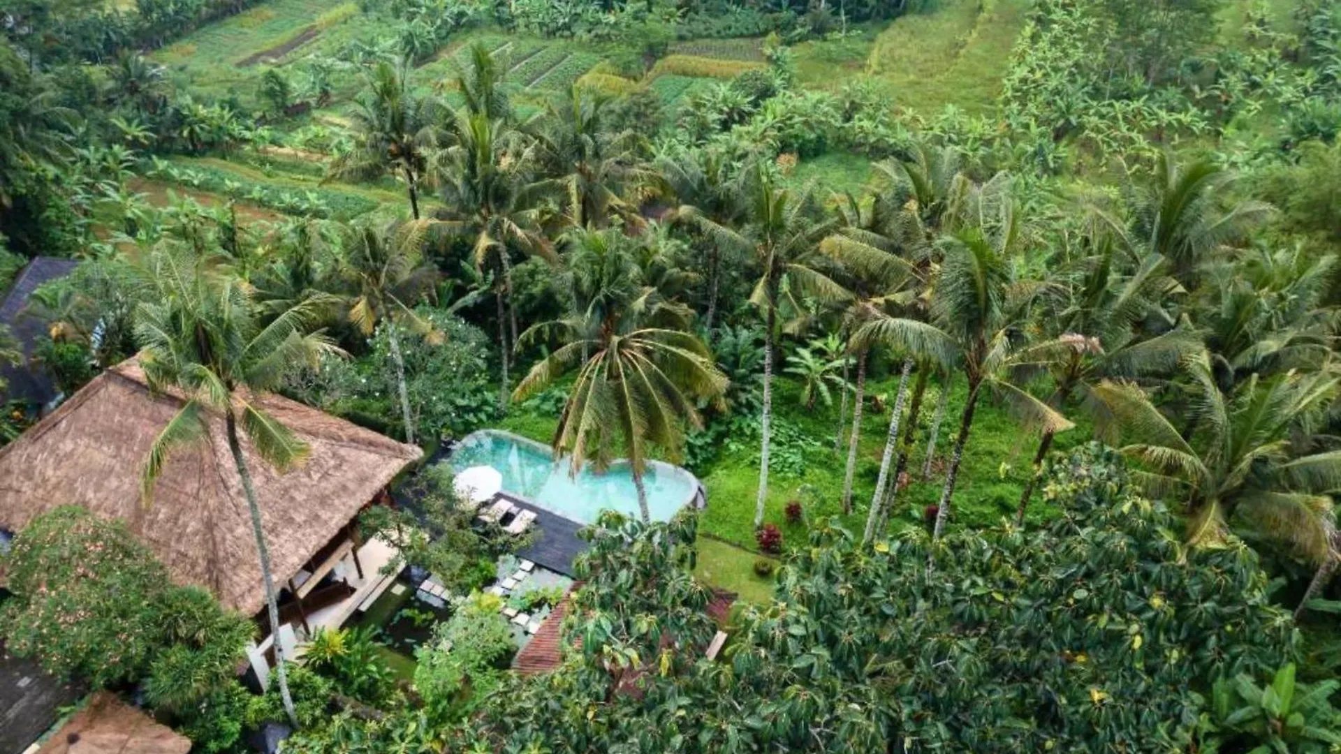 Natural View 2 Bedroom Private Pool Villa Zn18 Убуд